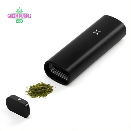 VAPORISATEUR DE POCHE PAX MINI