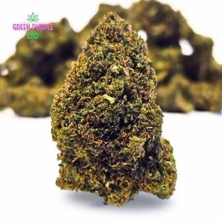 Fleur Gary Payton WTF