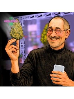 Fleur APPLE Friter Cali