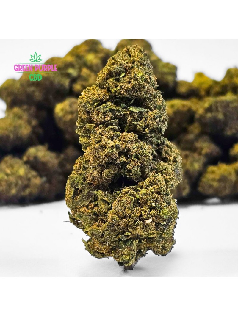 Fleur Gelato Cali HE