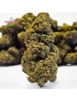 Fleur Gelato Cali HE