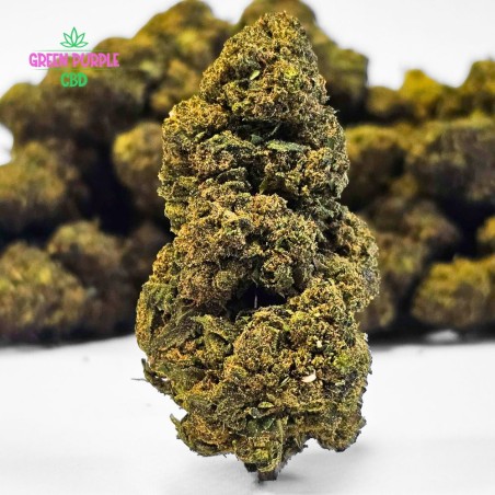 Fleur Gelato Cali HE