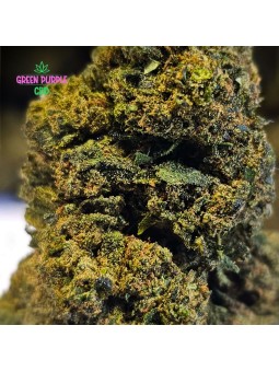 Fleur Gelato Cali HE