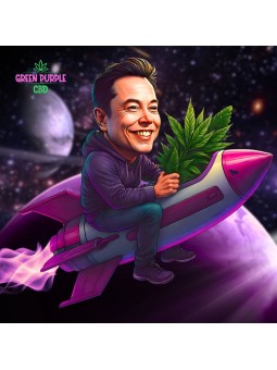 Fleur Gelato Cali HE