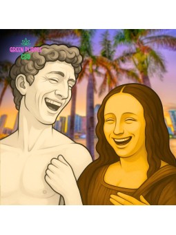 Résine Piatella N60% 🇮🇹 Strong !