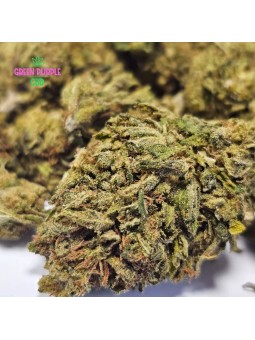 Fleur Hawain Haze CBD