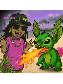 Fleur Hawain Haze CBD