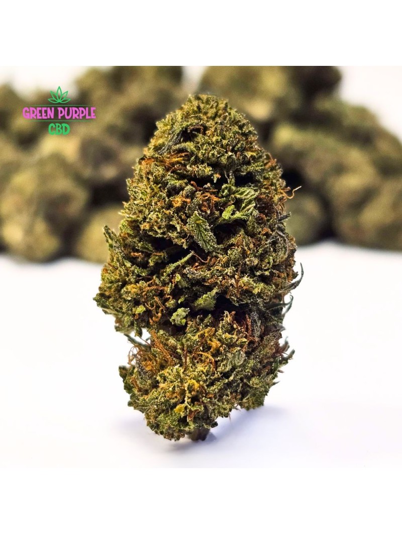 Fleur Chem Dogg 91 B30