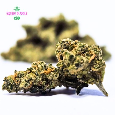 Small Bud Amnesia N20% STRONG