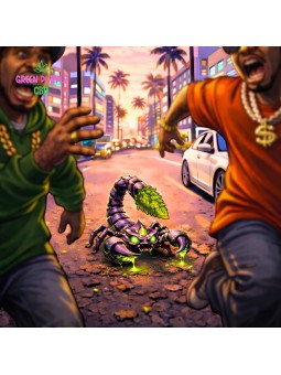 Small Bud Amnesia N20% STRONG