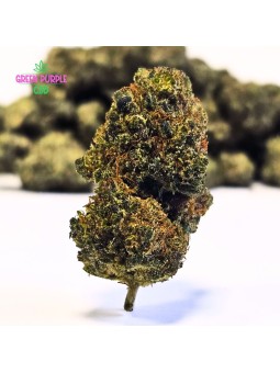 Fleur Bubble-Gum N30%