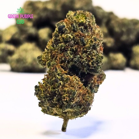 Fleur Bubble-Gum N30%