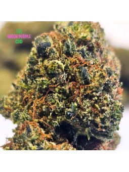 Fleur Bubble-Gum N30%