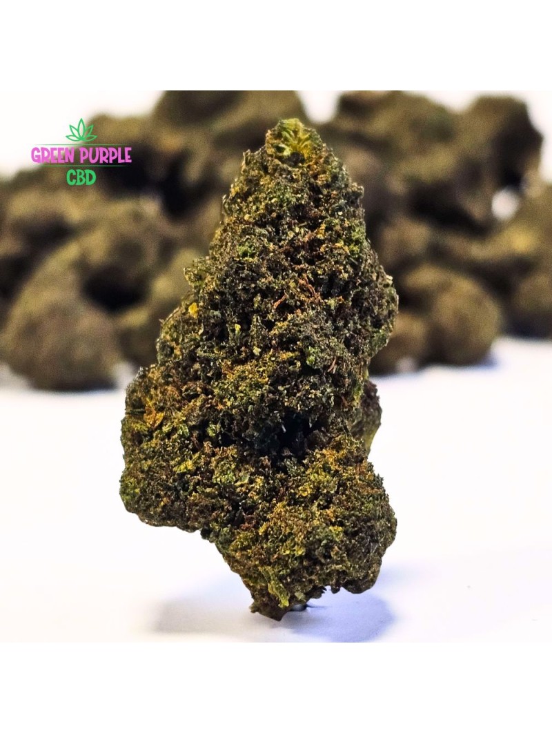 Fleur Jack Herer STV10