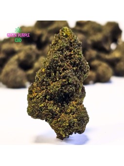 Fleur Jack Herer STV10