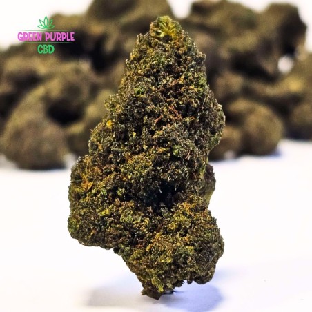 Fleur Jack Herer STV10