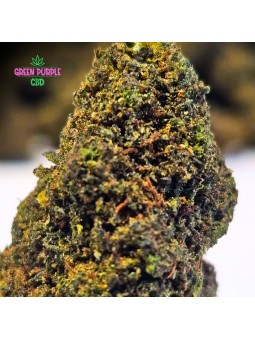 Fleur Jack Herer STV10