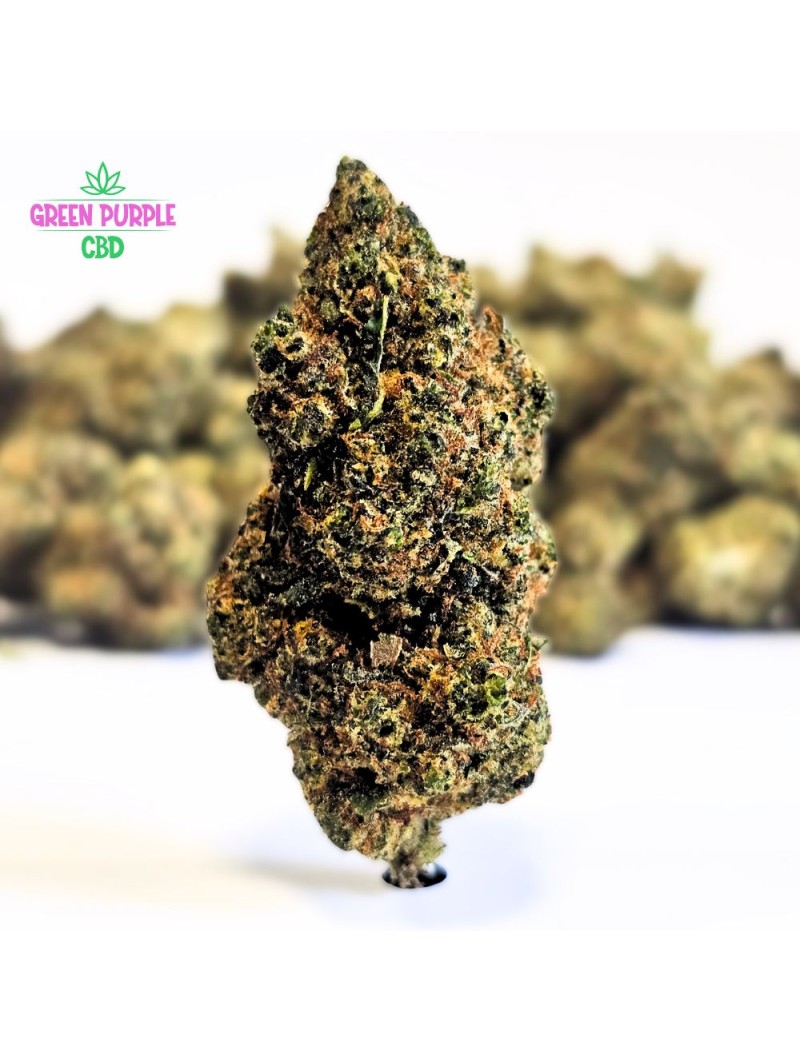 PROMOTION Darkberry N30%