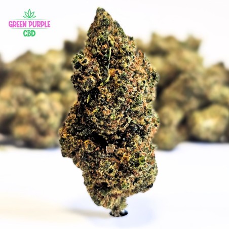 PROMOTION Darkberry N30%