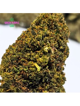 Fleur Gary Payton WTF