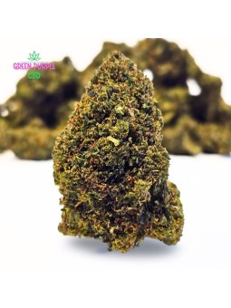 Fleur Gary Payton WTF