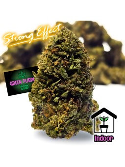 PROMOTION Gary Payton WTF