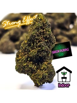 Fleur Jack Herer STV10