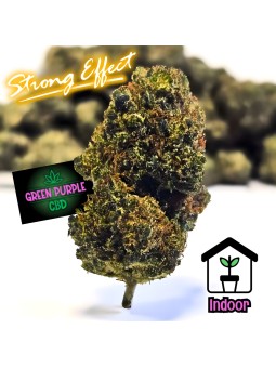 Fleur Bubble-Gum N30%