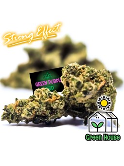 Small Bud Amnesia N20% STRONG