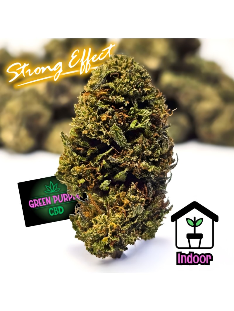 Fleur Chem Dogg 91 B30