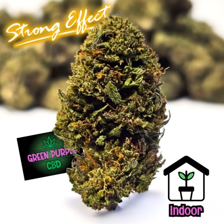 Fleur Chem Dogg 91 B30