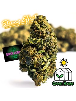 Fleur APPLE Friter Cali N40%