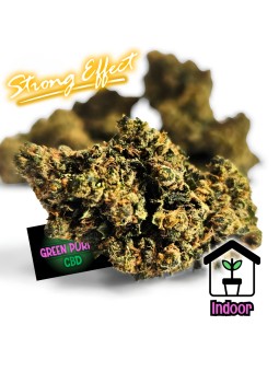 FLEUR AMNESIA US N30 !!!