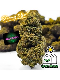 Fleur Gelato Cali HE