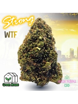 PROMOTION Gary Payton WTF