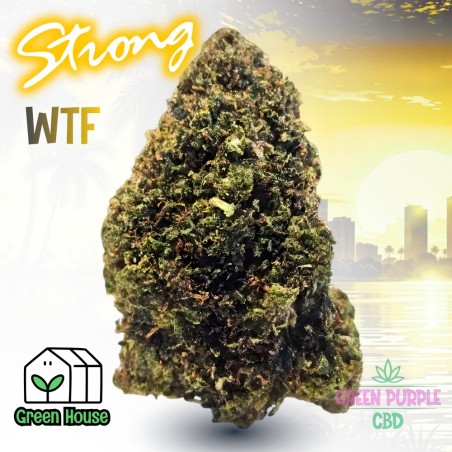 PROMOTION Gary Payton WTF