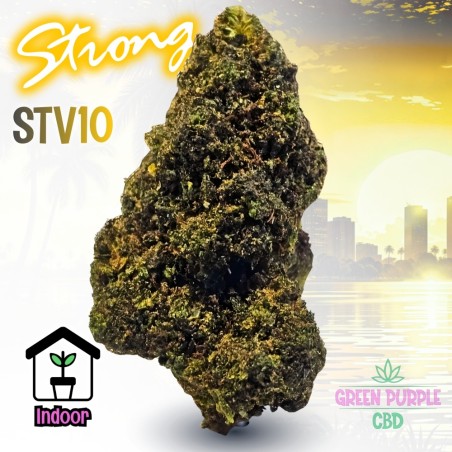 Fleur Jack Herer STV10