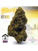 Fleur Jack Herer STV10