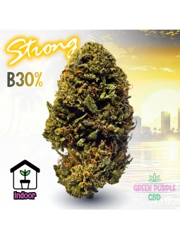 Fleur Chem Dogg 91 B30