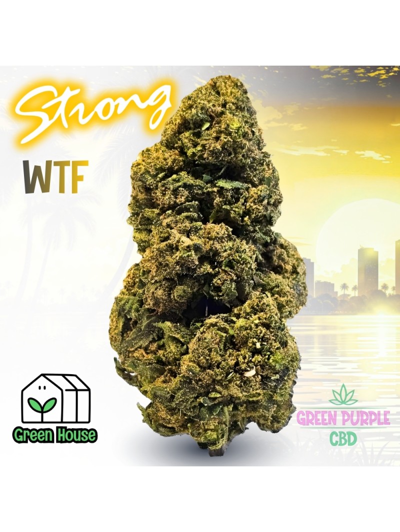 Fleur Gelato Cali HE