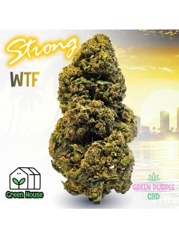 Fleur Gelato Cali HE