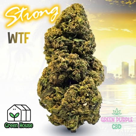 Fleur Gelato Cali HE