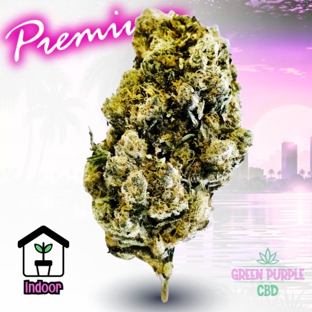 FLEUR AMNESIA US CBD