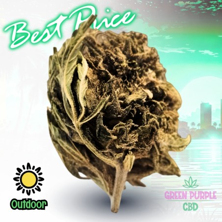 Small Bud Strawberry 🍓