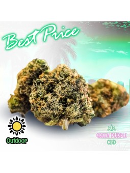 Small Bud PREMIUM G13 HAZE