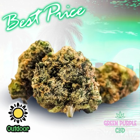 Small Bud PREMIUM G13 HAZE