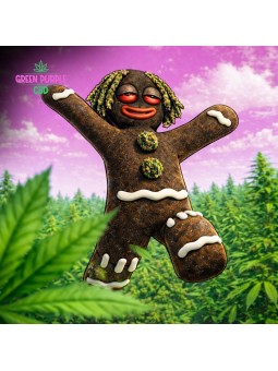 Résine GMO COOKIES 🍪