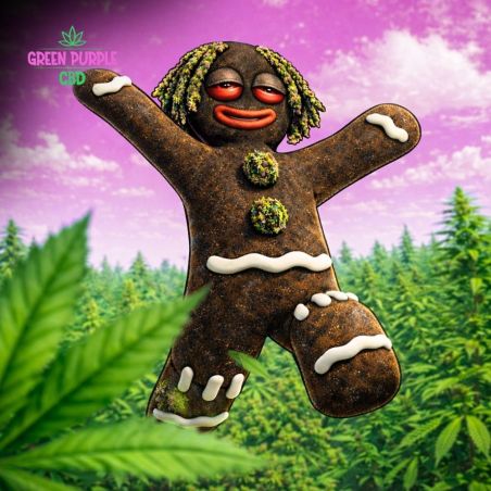 Résine GMO COOKIES 🍪