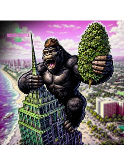 Fleur Gorilla Glue STV10