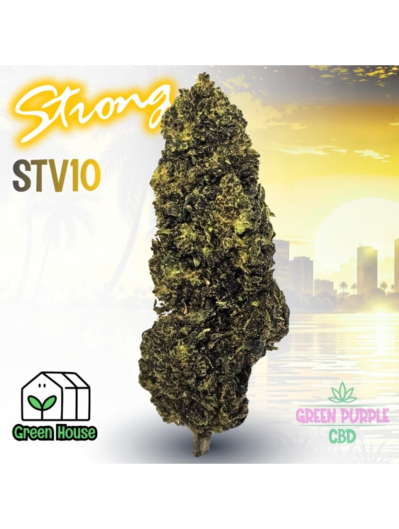 Fleur Gorilla Glue STV10